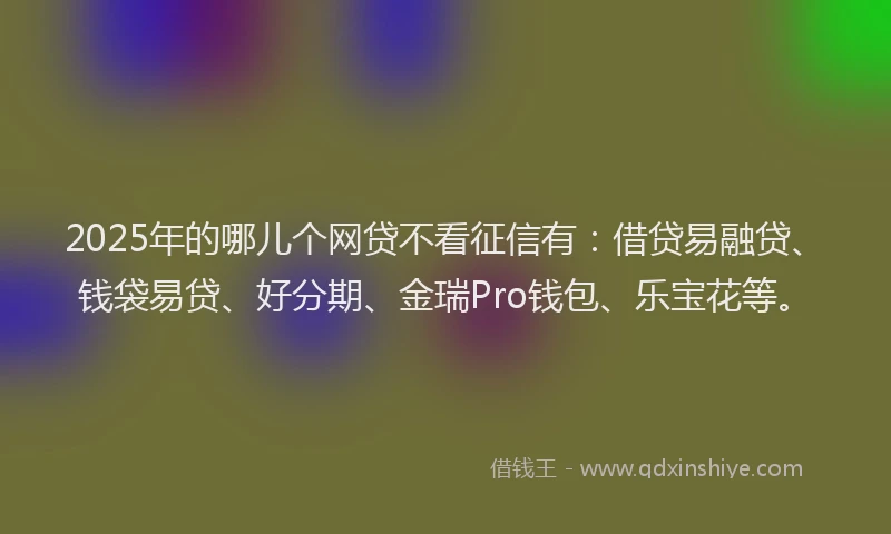 2025年的哪儿个网贷不看征信有：借贷易融贷、钱袋易贷、好分期、金瑞Pro钱包、乐宝花等。