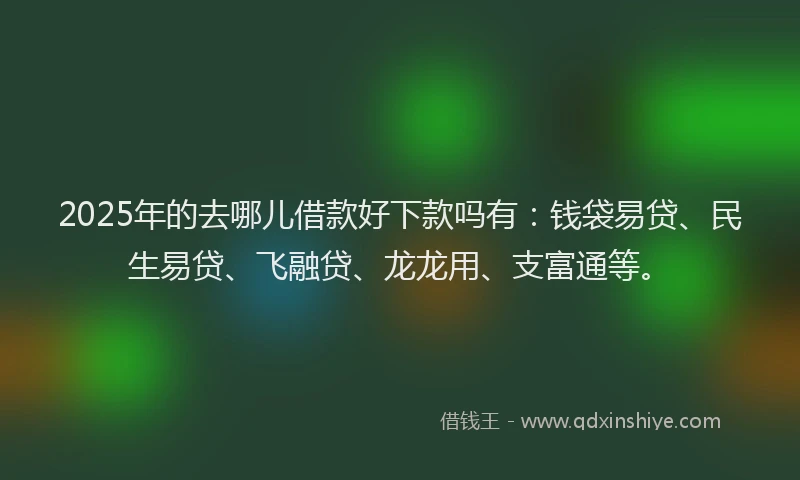 2025年的去哪儿借款好下款吗有：钱袋易贷、民生易贷、飞融贷、龙龙用、支富通等。