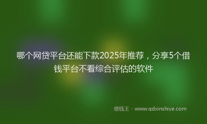哪个网贷平台还能下款2025年推荐，分享5个借钱平台不看综合评估的软件