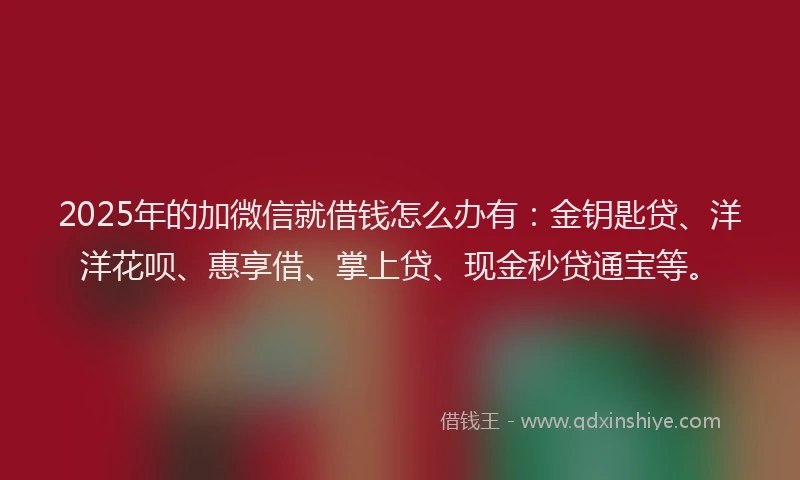 2025年的加微信就借钱怎么办有：金钥匙贷、洋洋花呗、惠享借、掌上贷、现金秒贷通宝等。