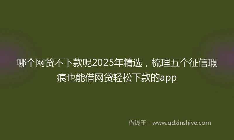 哪个网贷不下款呢2025年精选，梳理五个征信瑕疵也能借网贷轻松下款的app
