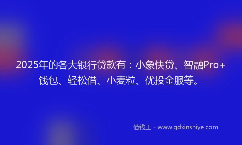 2025年的各大银行贷款有：小象快贷、智融Pro+钱包、轻松借、小麦粒、优投金服等。