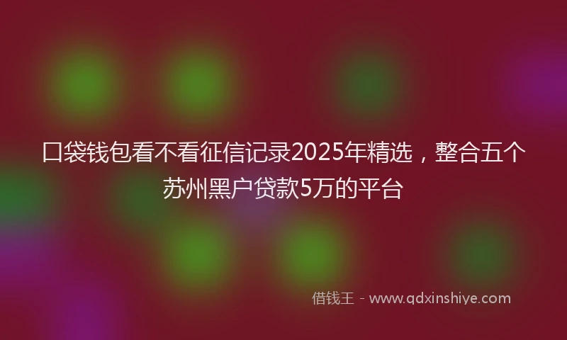 口袋钱包看不看征信记录2025年精选，整合五个苏州黑户贷款5万的平台