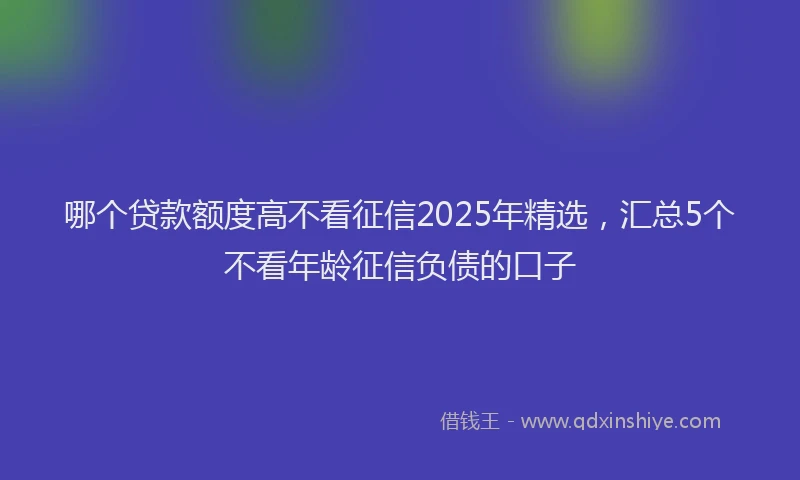 哪个贷款额度高不看征信2025年精选，汇总5个不看年龄征信负债的口子