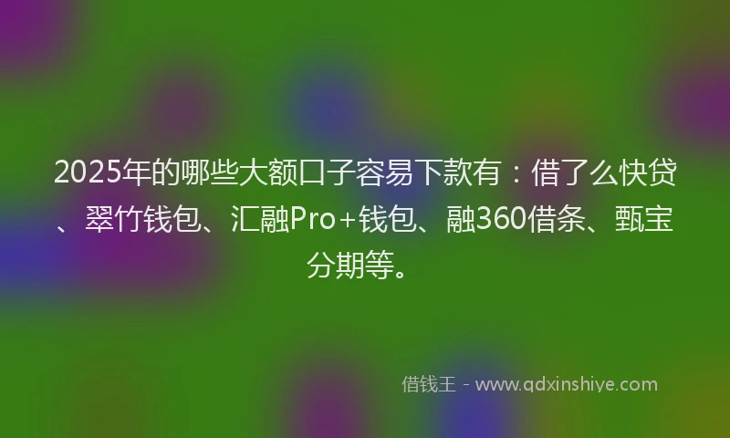 2025年的哪些大额口子容易下款有：借了么快贷、翠竹钱包、汇融Pro+钱包、融360借条、甄宝分期等。