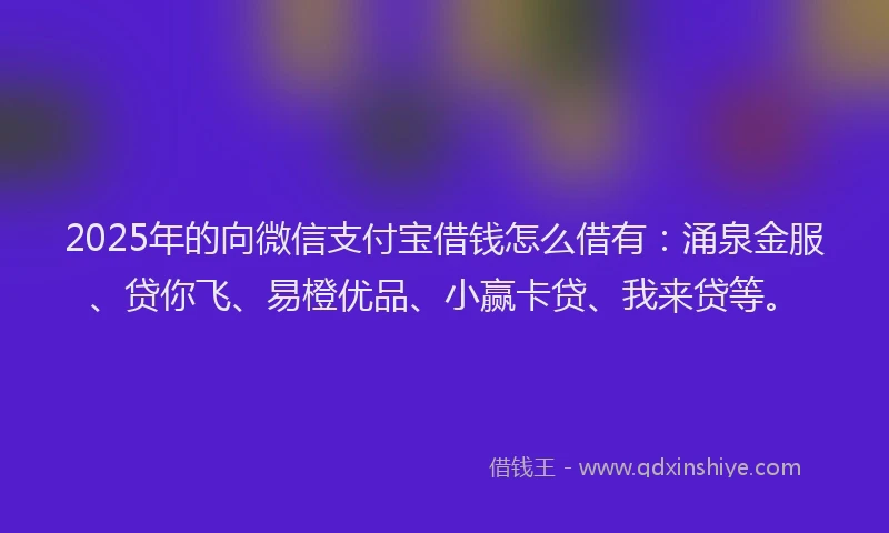 2025年的向微信支付宝借钱怎么借有：涌泉金服、贷你飞、易橙优品、小赢卡贷、我来贷等。