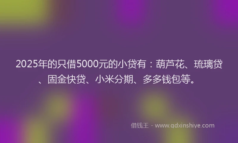 2025年的只借5000元的小贷有：葫芦花、琉璃贷、固金快贷、小米分期、多多钱包等。