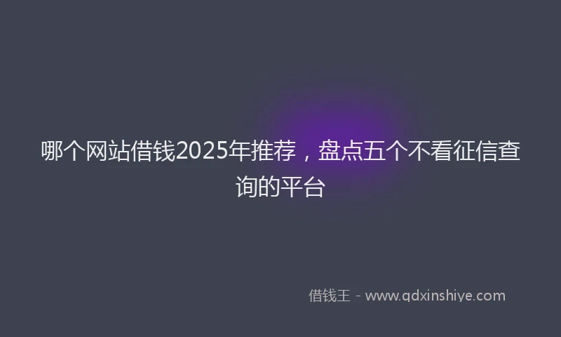 哪个网站借钱2025年推荐，盘点五个不看征信查询的平台