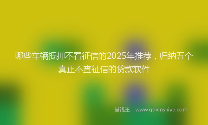 哪些车辆抵押不看征信的2025年推荐，归纳五个真正不查征信的贷款软件