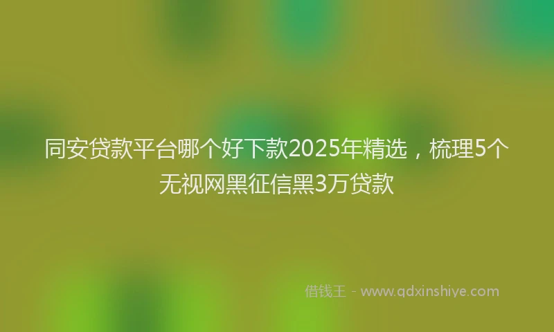 同安贷款平台哪个好下款2025年精选，梳理5个无视网黑征信黑3万贷款