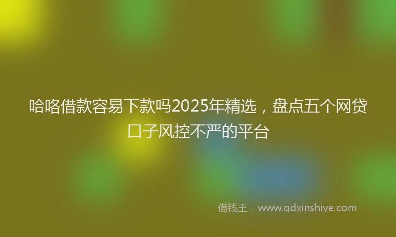 哈咯借款容易下款吗2025年精选，盘点五个网贷口子风控不严的平台