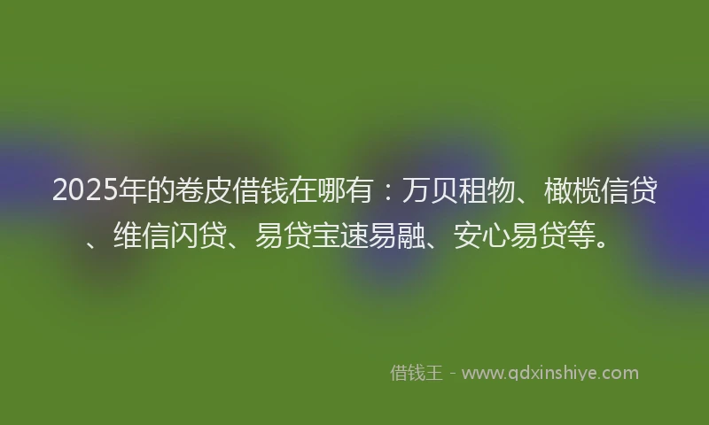 2025年的卷皮借钱在哪有：万贝租物、橄榄信贷、维信闪贷、易贷宝速易融、安心易贷等。
