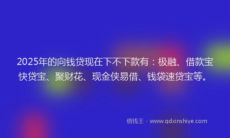 2025年的向钱贷现在下不下款有：极融、借款宝快贷宝、聚财花、现金侠易借、钱袋速贷宝等。