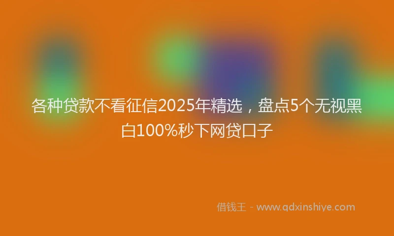 各种贷款不看征信2025年精选，盘点5个无视黑白100%秒下网贷口子