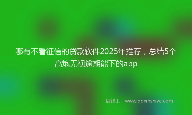 哪有不看征信的贷款软件2025年推荐，总结5个高炮无视逾期能下的app