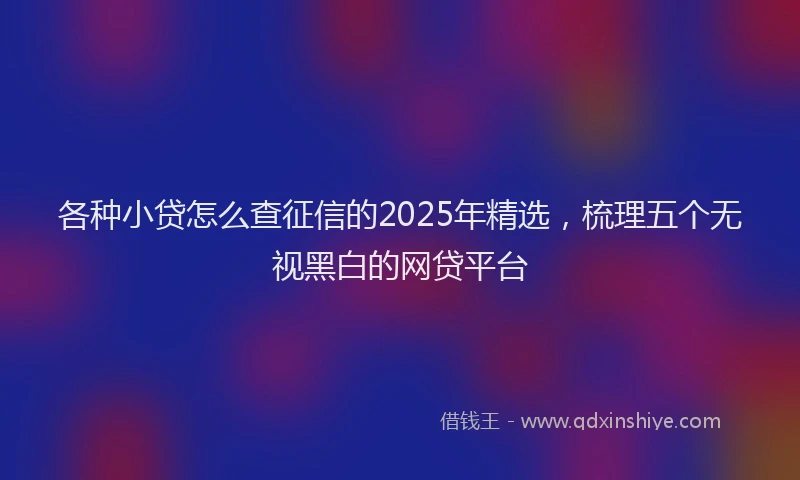 各种小贷怎么查征信的2025年精选，梳理五个无视黑白的网贷平台
