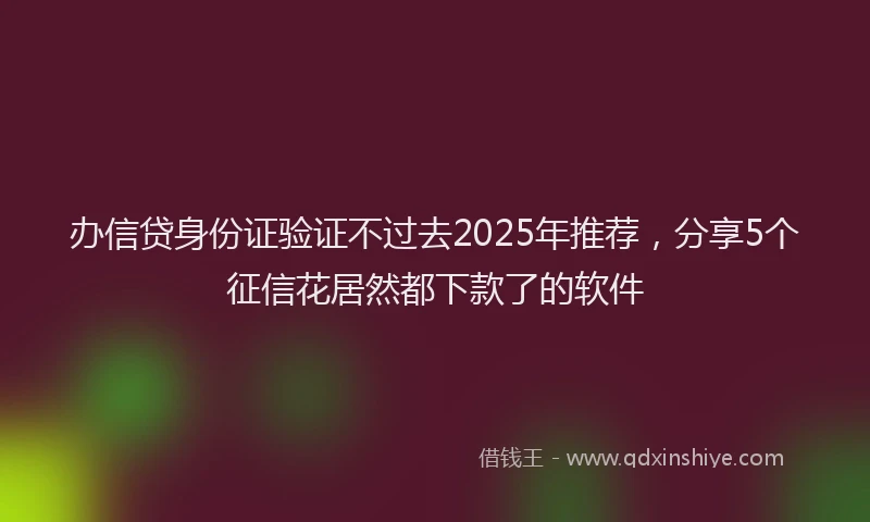 办信贷身份证验证不过去2025年推荐，分享5个征信花居然都下款了的软件