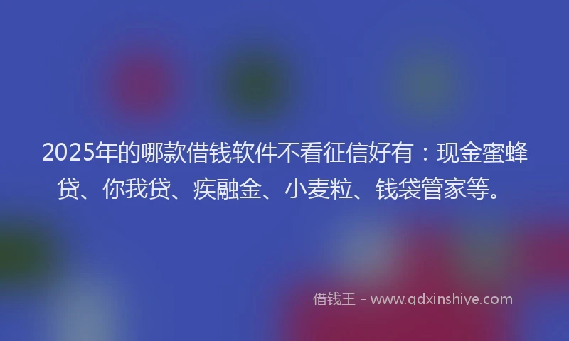 2025年的哪款借钱软件不看征信好有：现金蜜蜂贷、你我贷、疾融金、小麦粒、钱袋管家等。