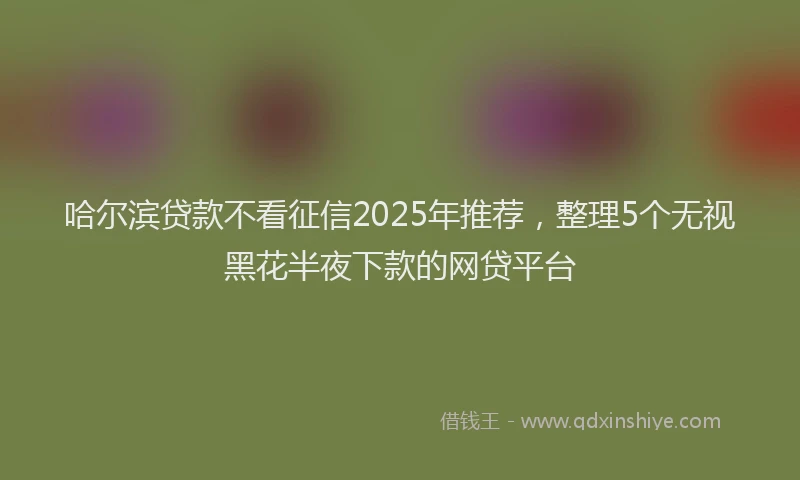 哈尔滨贷款不看征信2025年推荐，整理5个无视黑花半夜下款的网贷平台