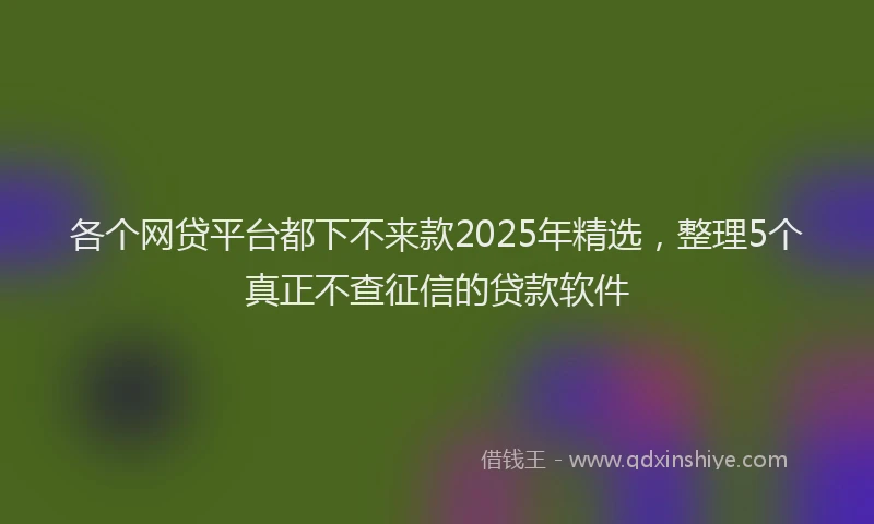 各个网贷平台都下不来款2025年精选，整理5个真正不查征信的贷款软件
