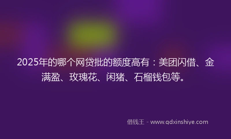 2025年的哪个网贷批的额度高有：美团闪借、金满盈、玫瑰花、闲猪、石榴钱包等。
