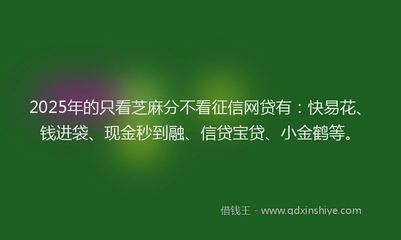 2025年的只看芝麻分不看征信网贷有：快易花、钱进袋、现金秒到融、信贷宝贷、小金鹤等。
