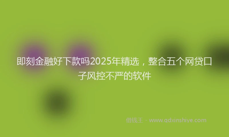 即刻金融好下款吗2025年精选，整合五个网贷口子风控不严的软件