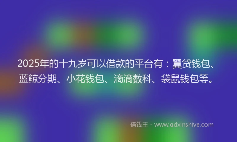 2025年的十九岁可以借款的平台有：翼贷钱包、蓝鲸分期、小花钱包、滴滴数科、袋鼠钱包等。