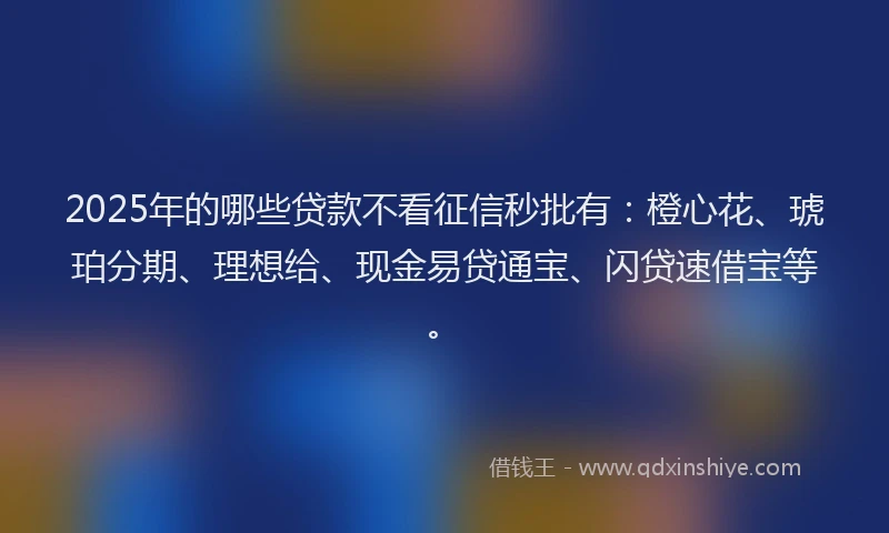 2025年的哪些贷款不看征信秒批有：橙心花、琥珀分期、理想给、现金易贷通宝、闪贷速借宝等。