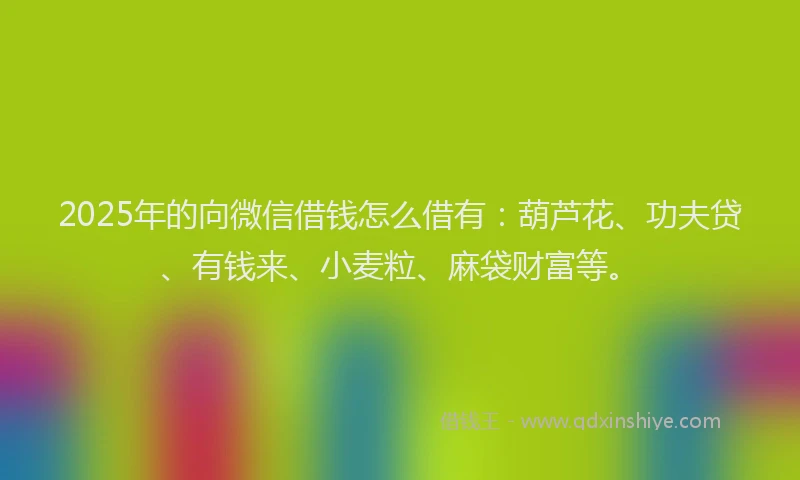 2025年的向微信借钱怎么借有：葫芦花、功夫贷、有钱来、小麦粒、麻袋财富等。