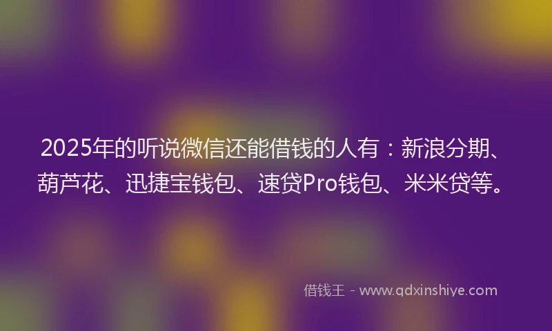 2025年的听说微信还能借钱的人有：新浪分期、葫芦花、迅捷宝钱包、速贷Pro钱包、米米贷等。