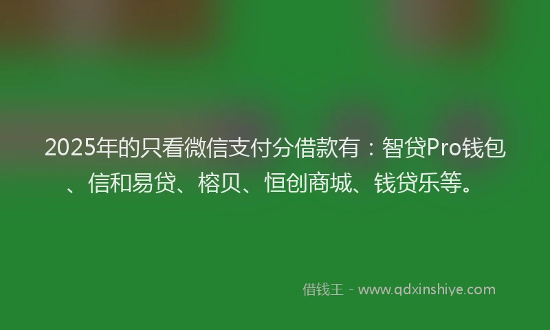 2025年的只看微信支付分借款有：智贷Pro钱包、信和易贷、榕贝、恒创商城、钱贷乐等。