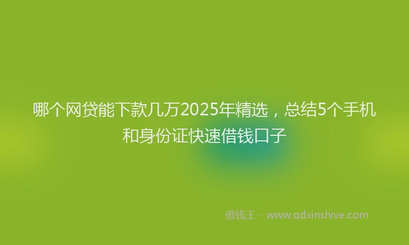 哪个网贷能下款几万2025年精选，总结5个手机和身份证快速借钱口子