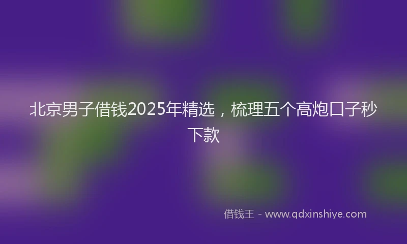 北京男子借钱2025年精选，梳理五个高炮口子秒下款
