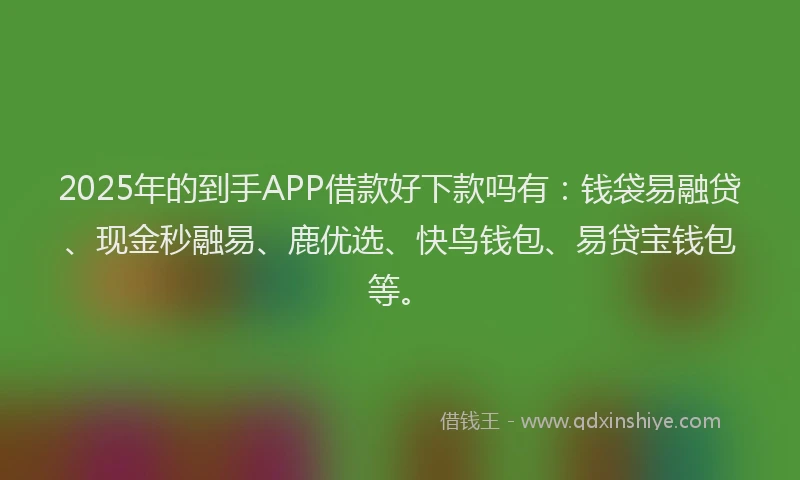 2025年的到手APP借款好下款吗有：钱袋易融贷、现金秒融易、鹿优选、快鸟钱包、易贷宝钱包等。