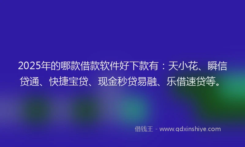 2025年的哪款借款软件好下款有：天小花、瞬信贷通、快捷宝贷、现金秒贷易融、乐借速贷等。