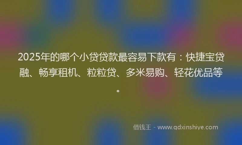 2025年的哪个小贷贷款最容易下款有：快捷宝贷融、畅享租机、粒粒贷、多米易购、轻花优品等。