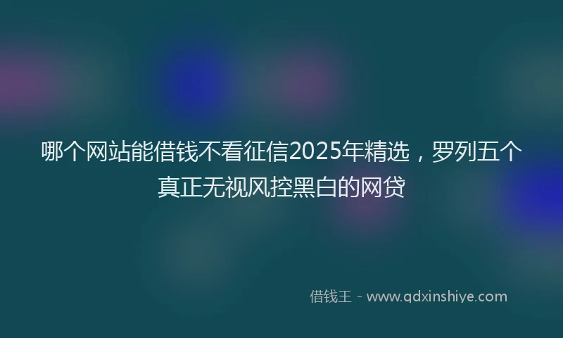 哪个网站能借钱不看征信2025年精选，罗列五个真正无视风控黑白的网贷