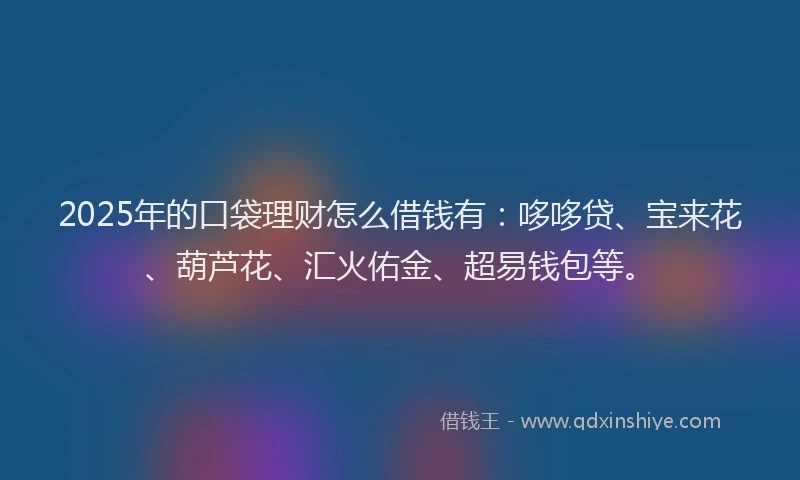 2025年的口袋理财怎么借钱有：哆哆贷、宝来花、葫芦花、汇火佑金、超易钱包等。