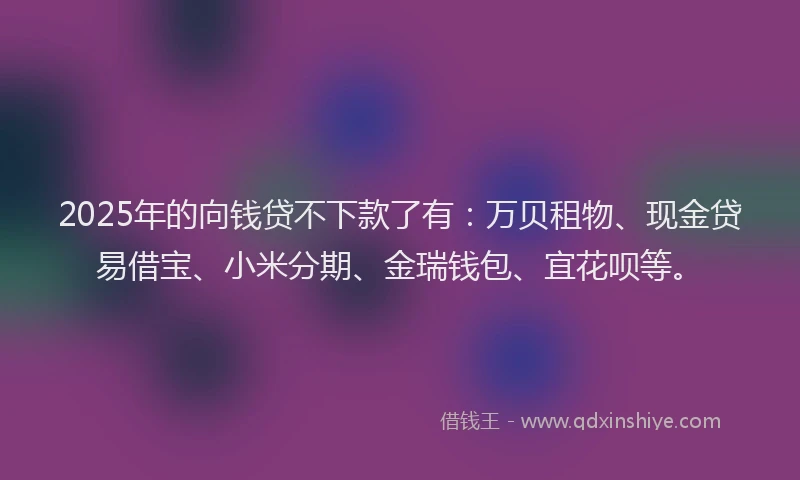 2025年的向钱贷不下款了有：万贝租物、现金贷易借宝、小米分期、金瑞钱包、宜花呗等。