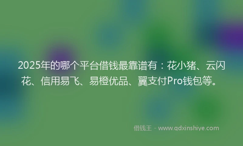 2025年的哪个平台借钱最靠谱有：花小猪、云闪花、信用易飞、易橙优品、翼支付Pro钱包等。