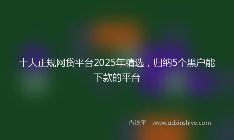 十大正规网贷平台2025年精选，归纳5个黑户能下款的平台