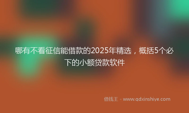 哪有不看征信能借款的2025年精选，概括5个必下的小额贷款软件