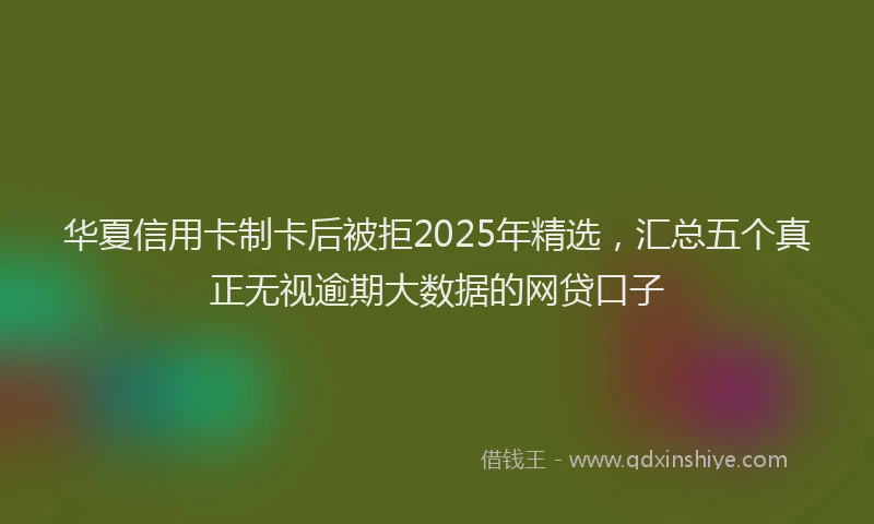 华夏信用卡制卡后被拒2025年精选，汇总五个真正无视逾期大数据的网贷口子