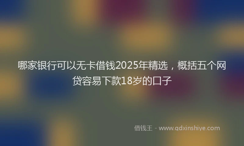 哪家银行可以无卡借钱2025年精选，概括五个网贷容易下款18岁的口子