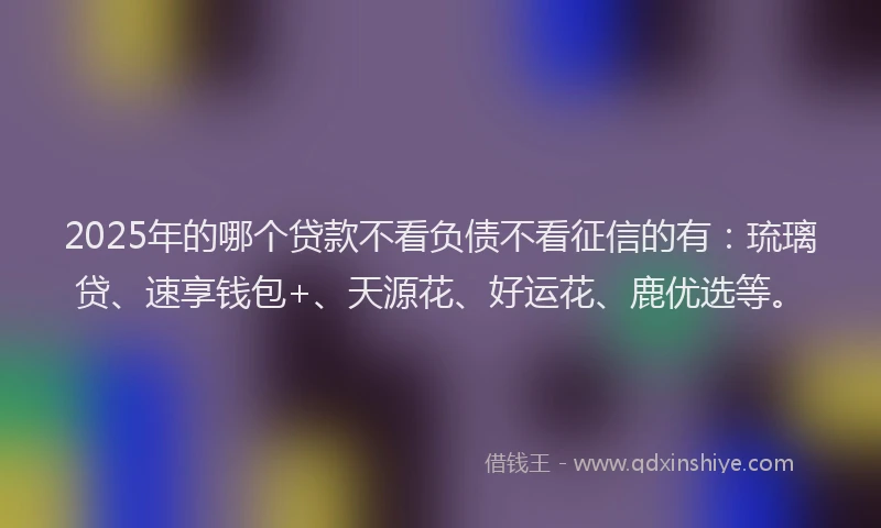 2025年的哪个贷款不看负债不看征信的有：琉璃贷、速享钱包+、天源花、好运花、鹿优选等。