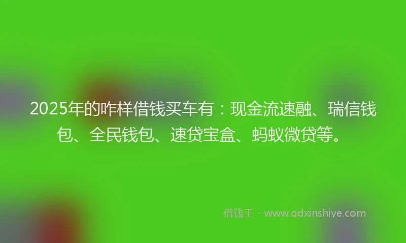 2025年的咋样借钱买车有：现金流速融、瑞信钱包、全民钱包、速贷宝盒、蚂蚁微贷等。