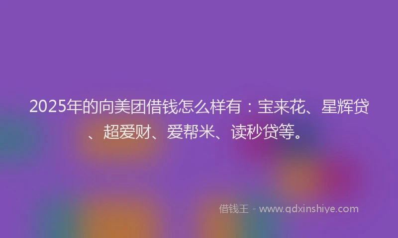 2025年的向美团借钱怎么样有：宝来花、星辉贷、超爱财、爱帮米、读秒贷等。