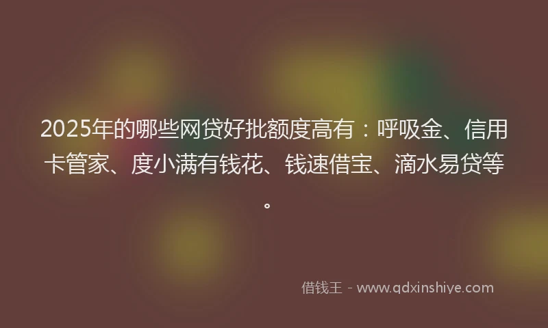 2025年的哪些网贷好批额度高有：呼吸金、信用卡管家、度小满有钱花、钱速借宝、滴水易贷等。