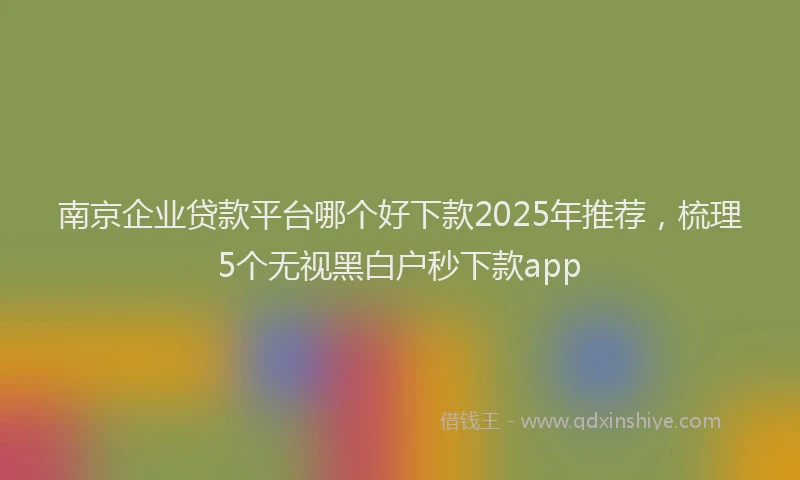 南京企业贷款平台哪个好下款2025年推荐，梳理5个无视黑白户秒下款app